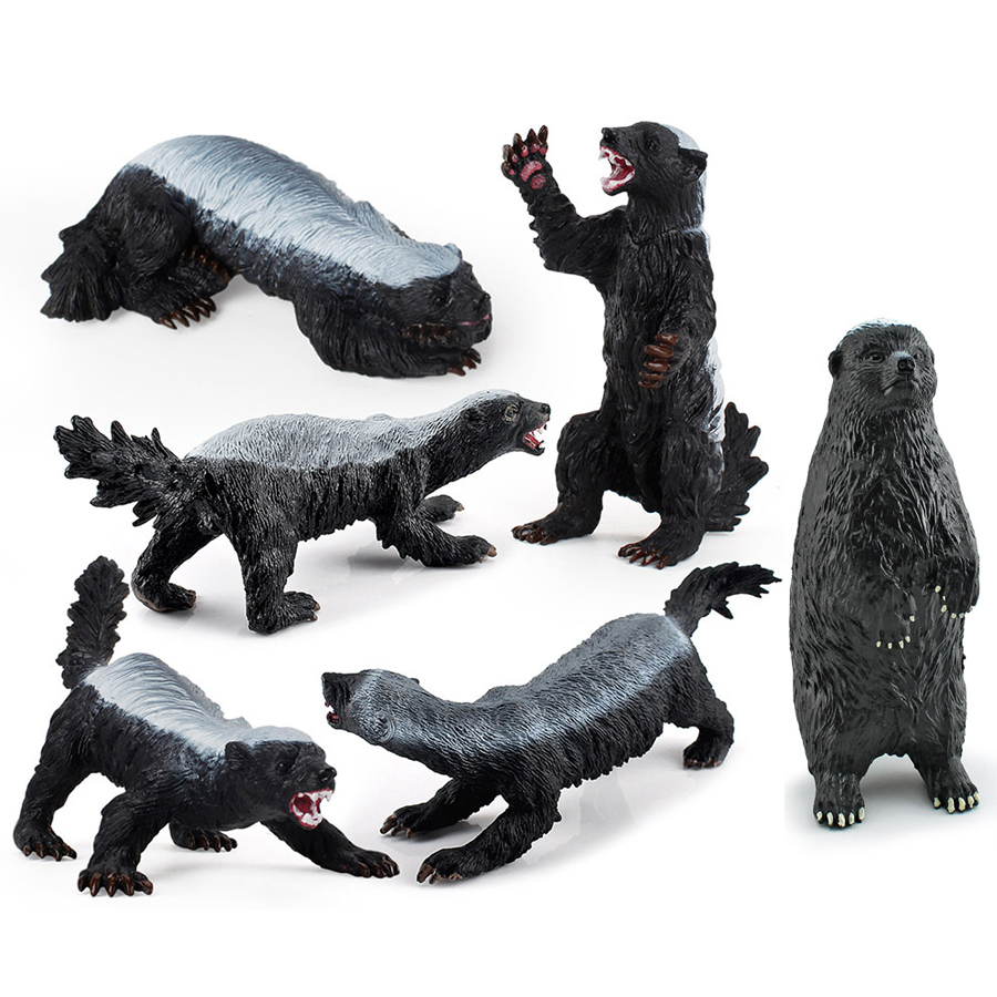 Kids Education Picture - Realistisch Honey Badger-model Simulatie Wilde dieren