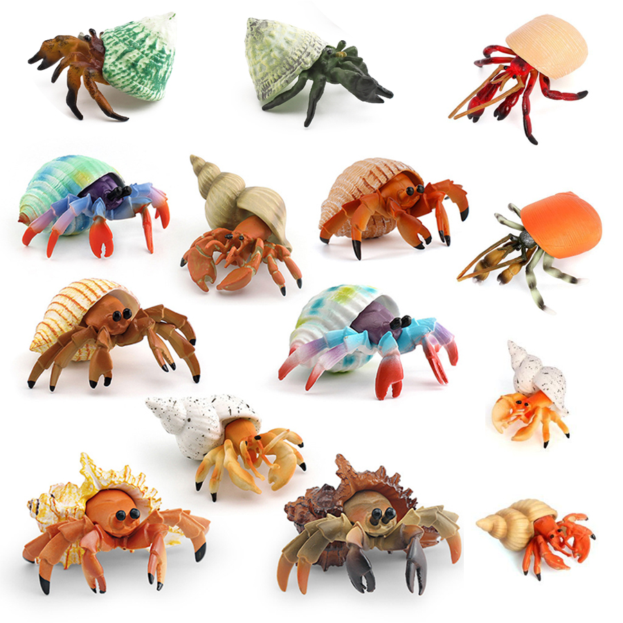 Kids Education Picture - Realistisch figuurtje van een heremietkreeft Duurzaam