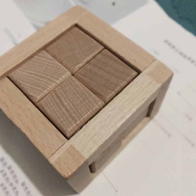 Brain Teaser Cube - Educatief ontstrikkingsspeelgoed In elkaar grijpende puzzelkubus