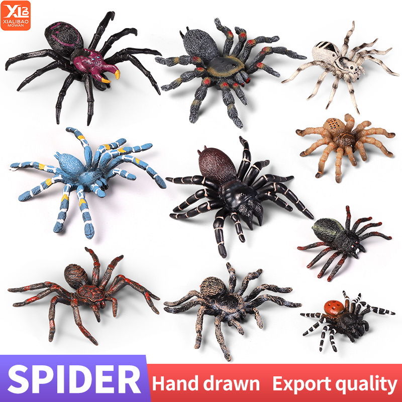Kids Education Learn Tv - Educatief Insect Spider Speelgoed Dierentuin Action