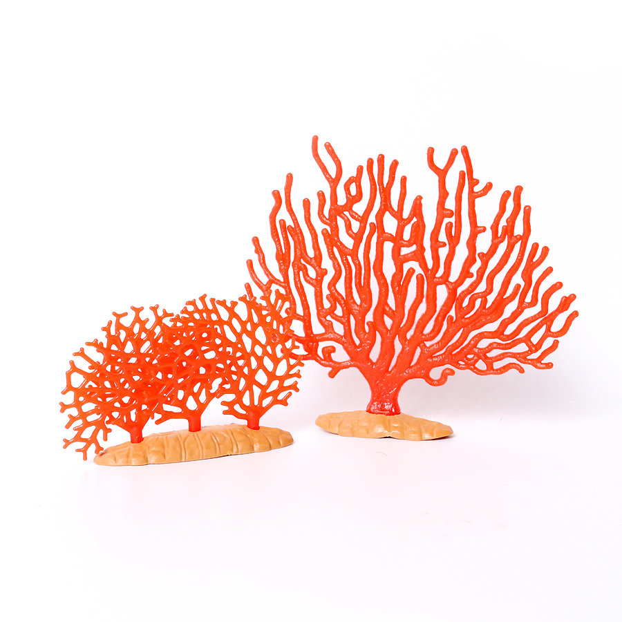 Realistische Coral Sea Anemone - Kids Education Picture recensie en prijs