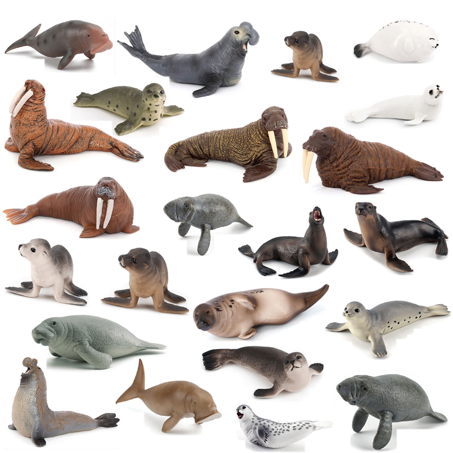 Realistische Dugong Manatee Wa - Kids Education Picture recensie en prijs