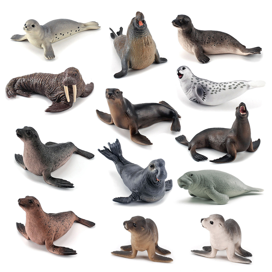 Realistische Dugong Manatee Wa - Kids Education Picture recensie en prijs