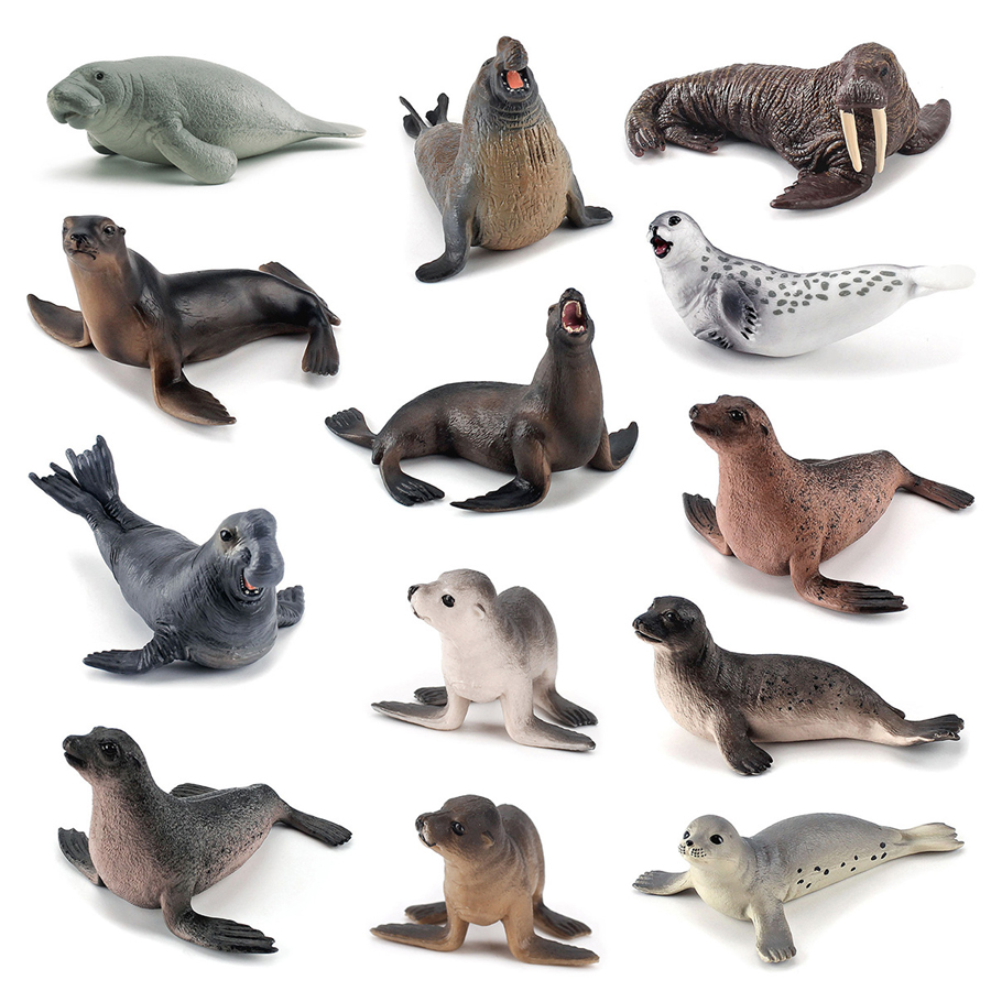 Realistische Dugong Manatee Wa - Kids Education Picture recensie en prijs