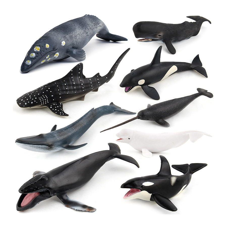 Realistische Bultrugwalvis Spe - Kids Education Picture recensie en prijs