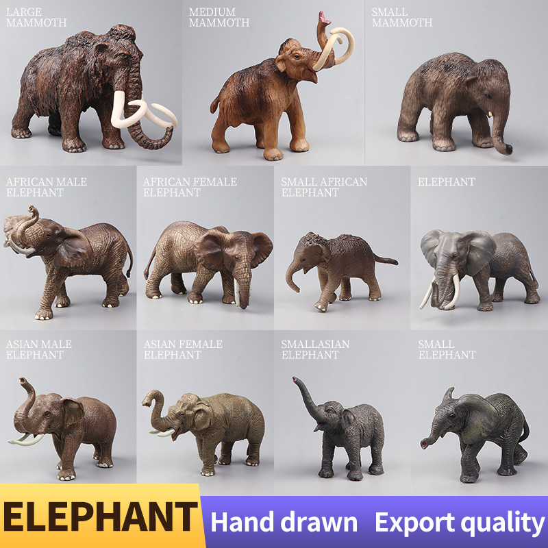 Afrikaanse wilde dieren Grote  - Kids Education Picture recensie en prijs