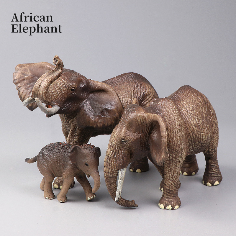 Afrikaanse wilde dieren Grote  - Kids Education Picture recensie en prijs