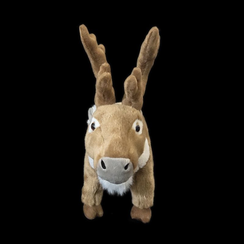 Leuke realistische rendieren k - Kids Education Learn Tv recensie en prijs