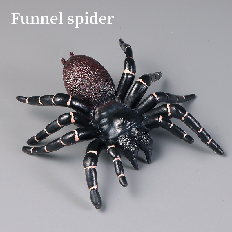 Educatief Insect Spider Speelg - Kids Education Learn Tv recensie en prijs
