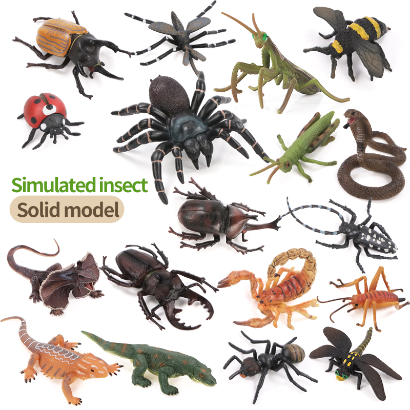 Educatieve simulatie insecten- - Kids Education Picture recensie en prijs