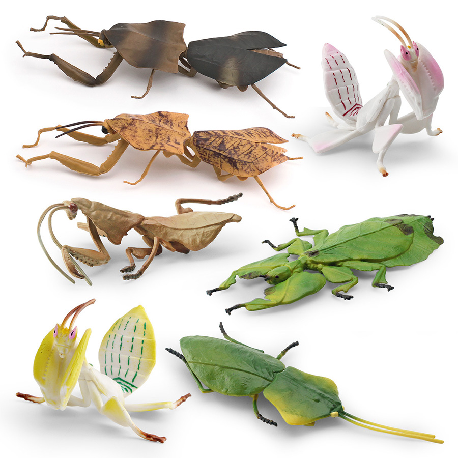 Realistische Orchidee Mantis D - Kids Education Picture recensie en prijs