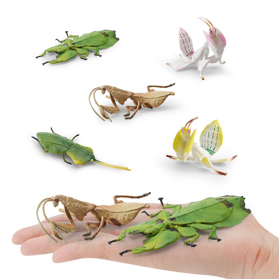 Realistische Orchidee Mantis D - Kids Education Picture recensie en prijs